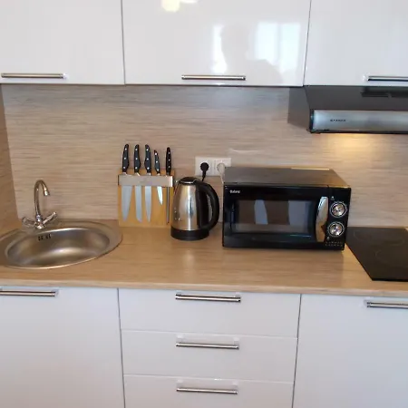 Vega In New Luxury House * Tallinn